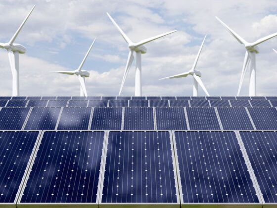 Yenilenebilir Enerji: Özel Sermaye Şirketleri için Çarpıcı Bir Yatırım Tezi